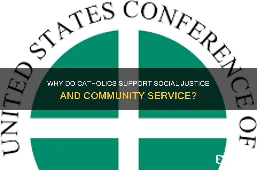 why do catholics support
