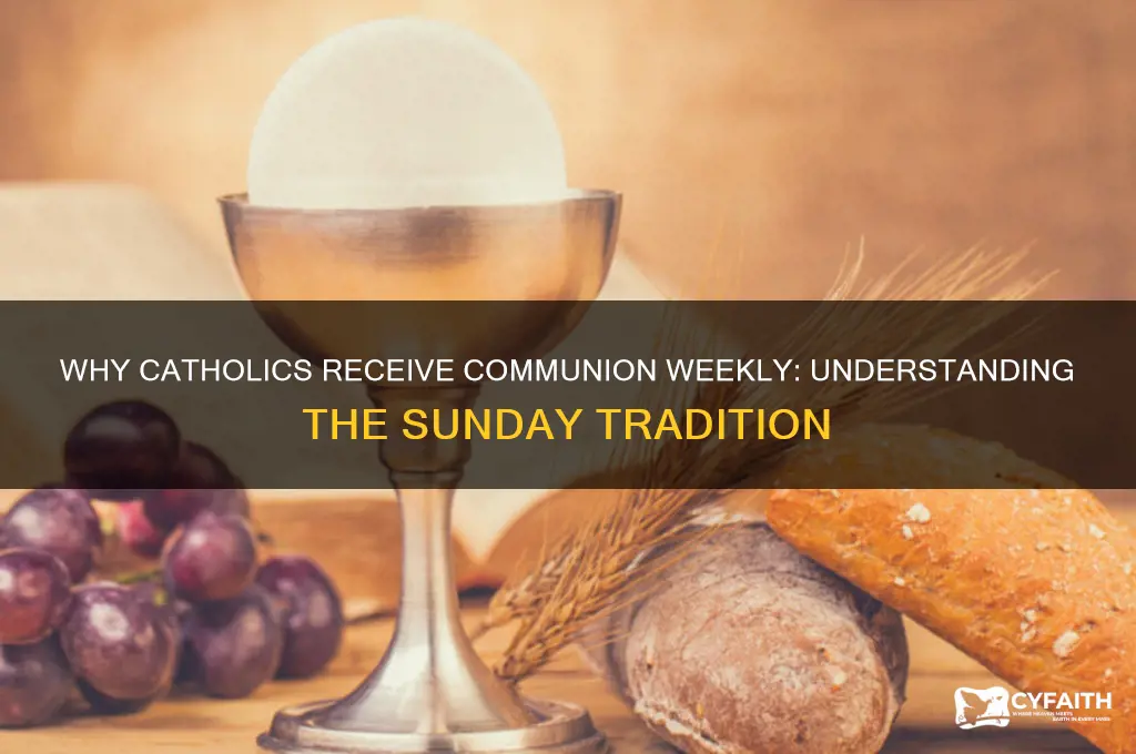 why do catholics take communion every sunday