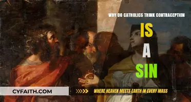 Contraception and Catholic Morality: Understanding the Church's Stance