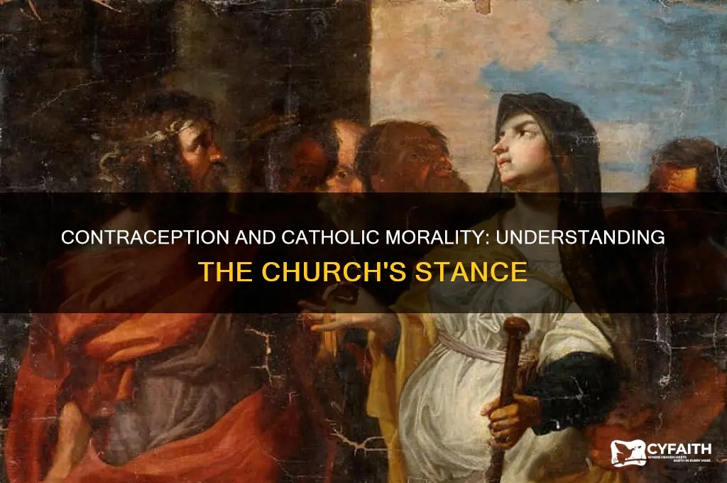 why do catholics think contraception is a sin