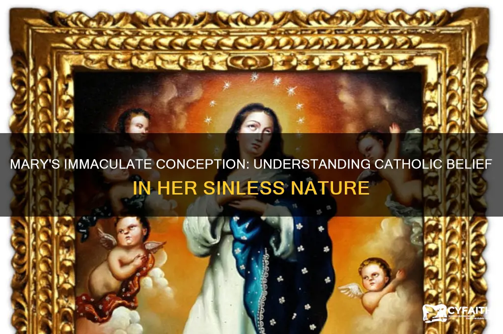 why do catholics think mary did not sin