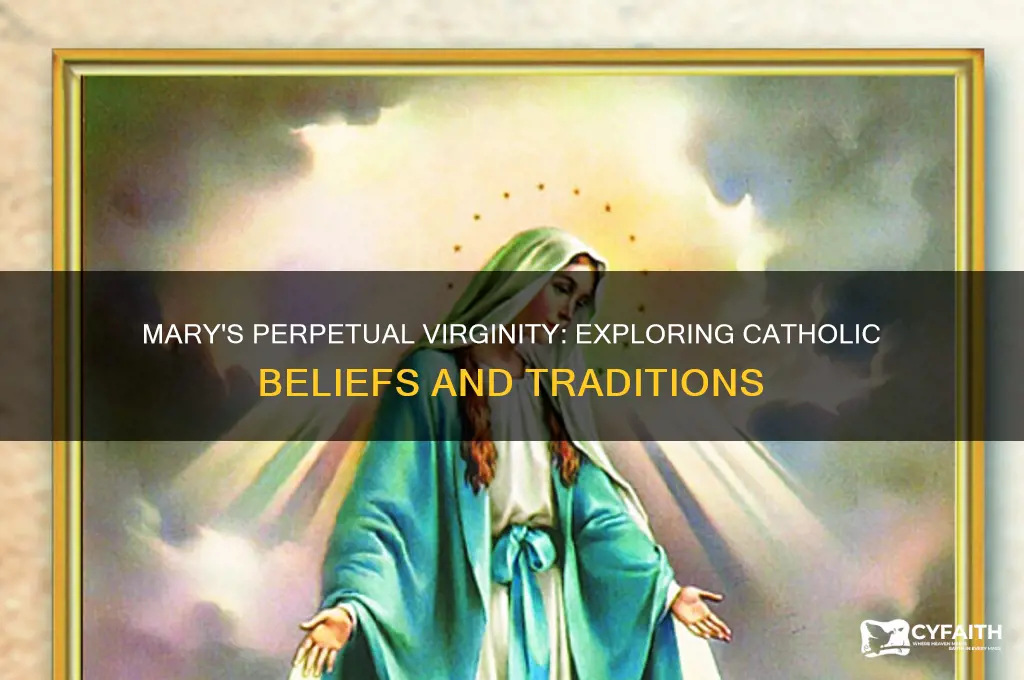 why do catholics think mary remained a virgin
