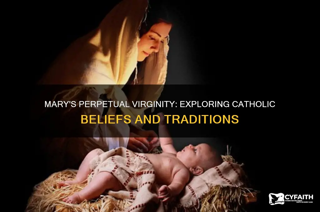why do catholics think mary was a perpetual virgin