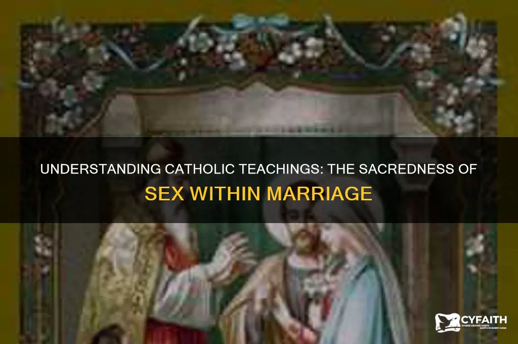 why do catholics think sex before marriage is bad