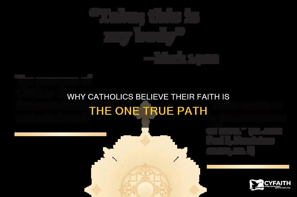 why do catholics think they are right