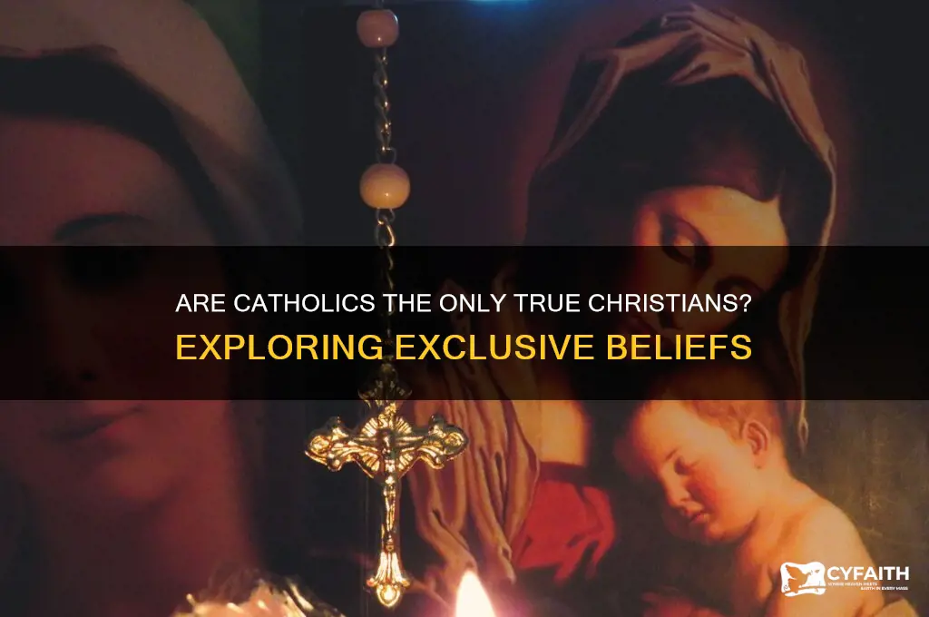 why do catholics think they are the only christians