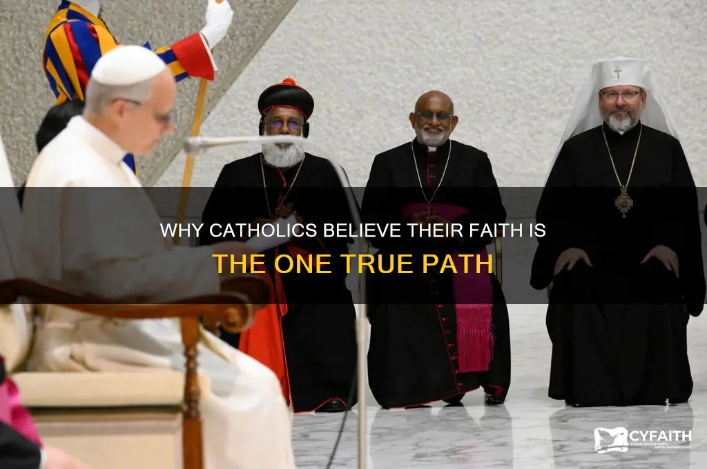 why do catholics think they are the only correct religion