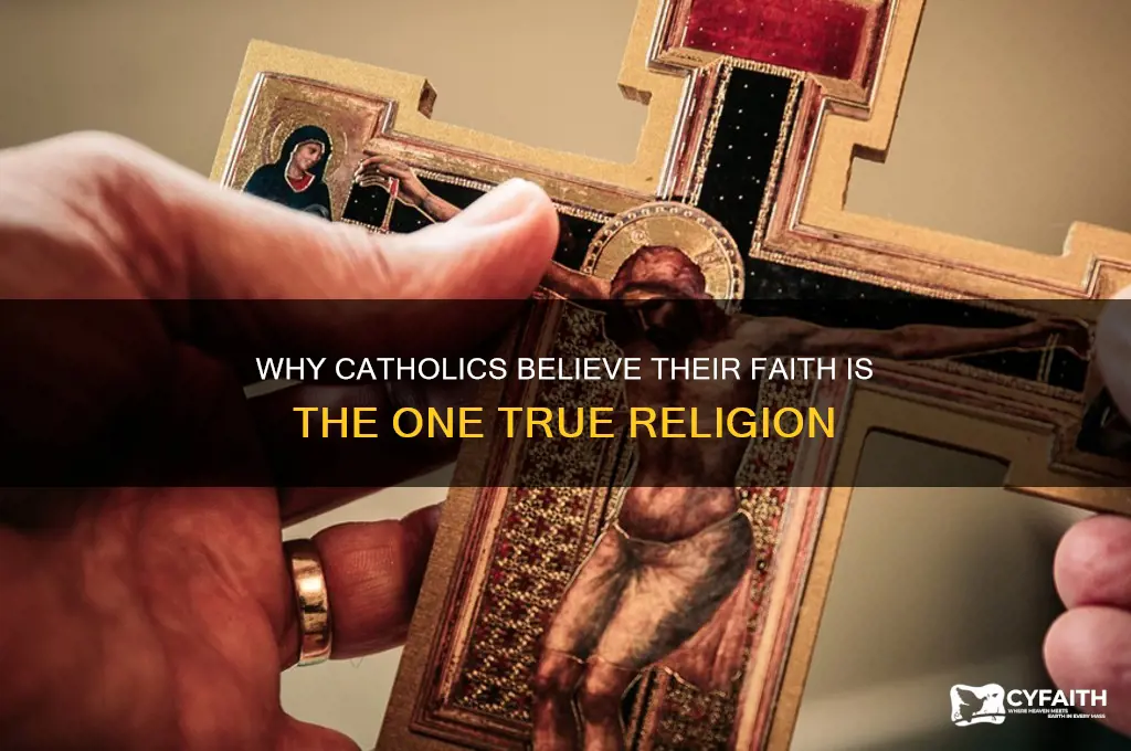 why do catholics thinks they have one true religion