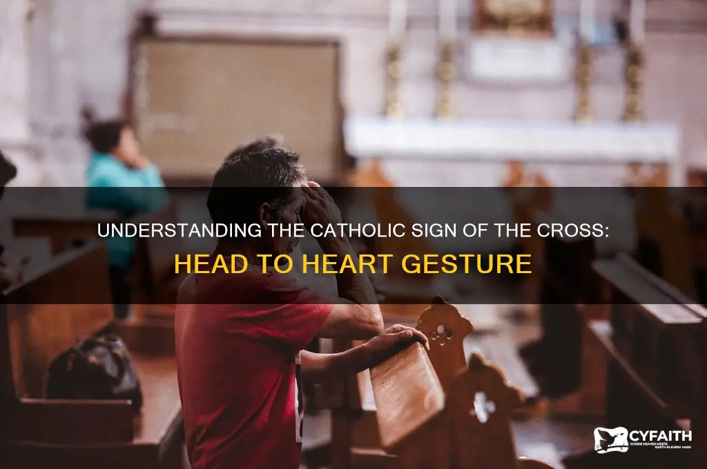 why do catholics touch their head and chest