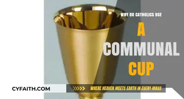Communal Cup in Catholicism: Symbolism, Tradition, and Shared Faith Explained