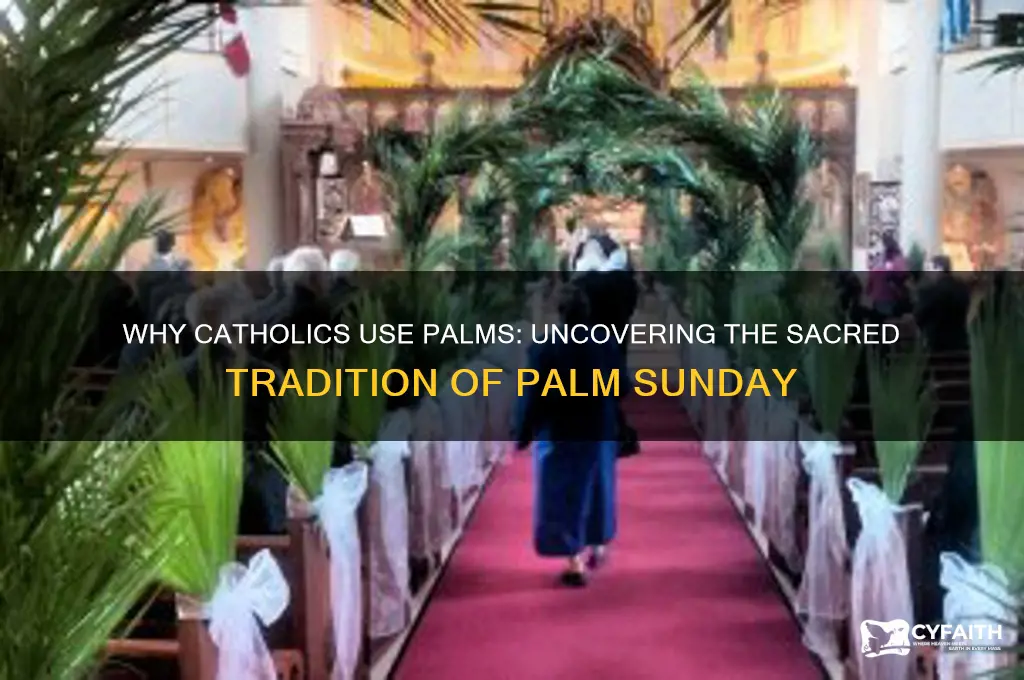 why do catholics use palms