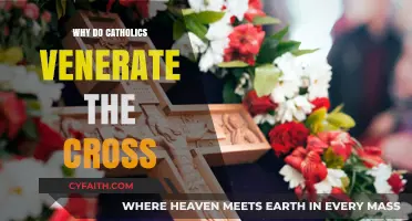 Why Catholics Venerate the Cross: Symbolism and Faith Explained