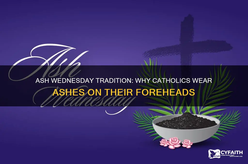 why do catholics walk around with ashes on their head