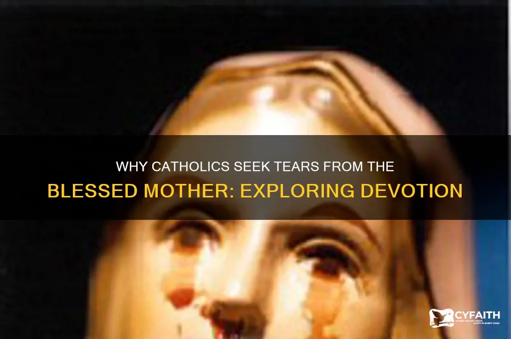 why do catholics want blessed mother to cry