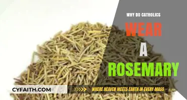 Why Catholics Wear Rosemary: Symbolism and Spiritual Significance Explained