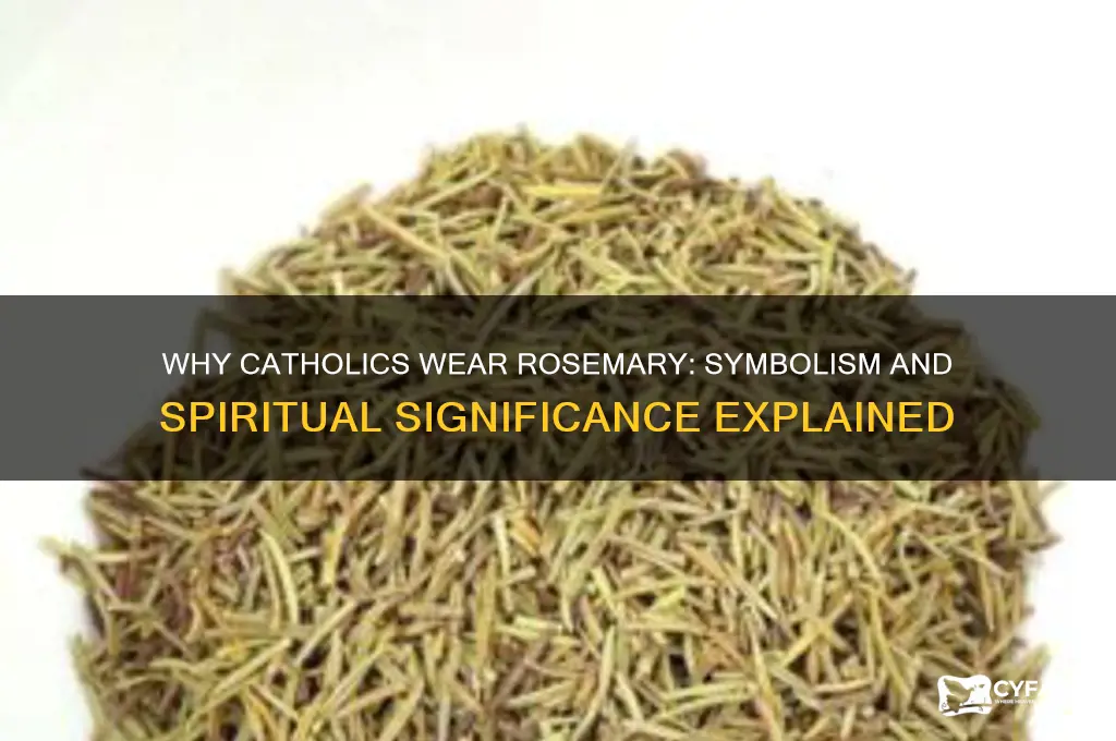 why do catholics wear a rosemary