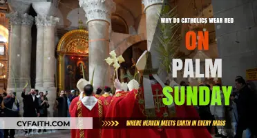Red on Palm Sunday: Unveiling the Catholic Tradition's Symbolic Meaning