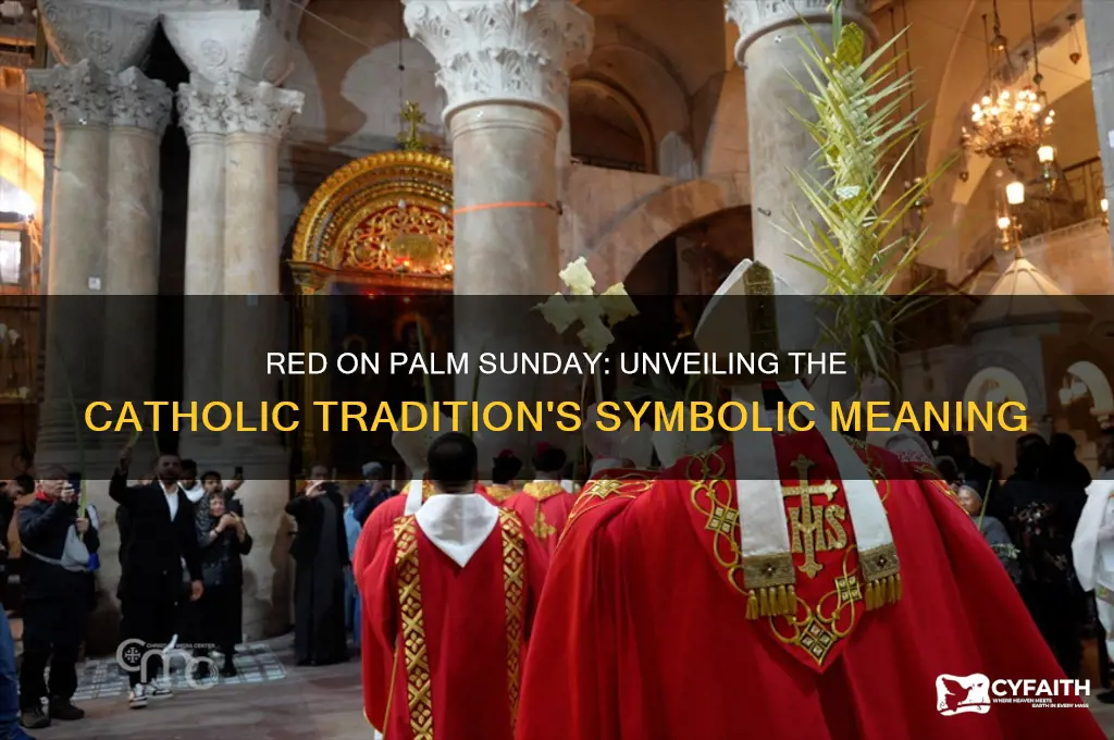 why do catholics wear red on palm sunday