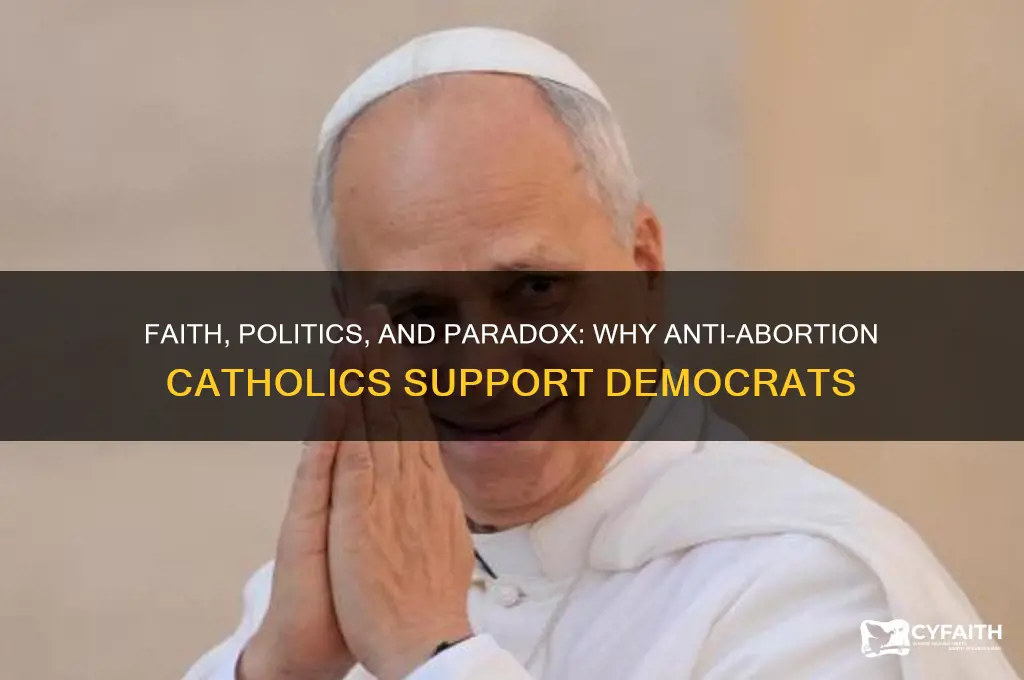 why do catholics who denounce abortion become democrats