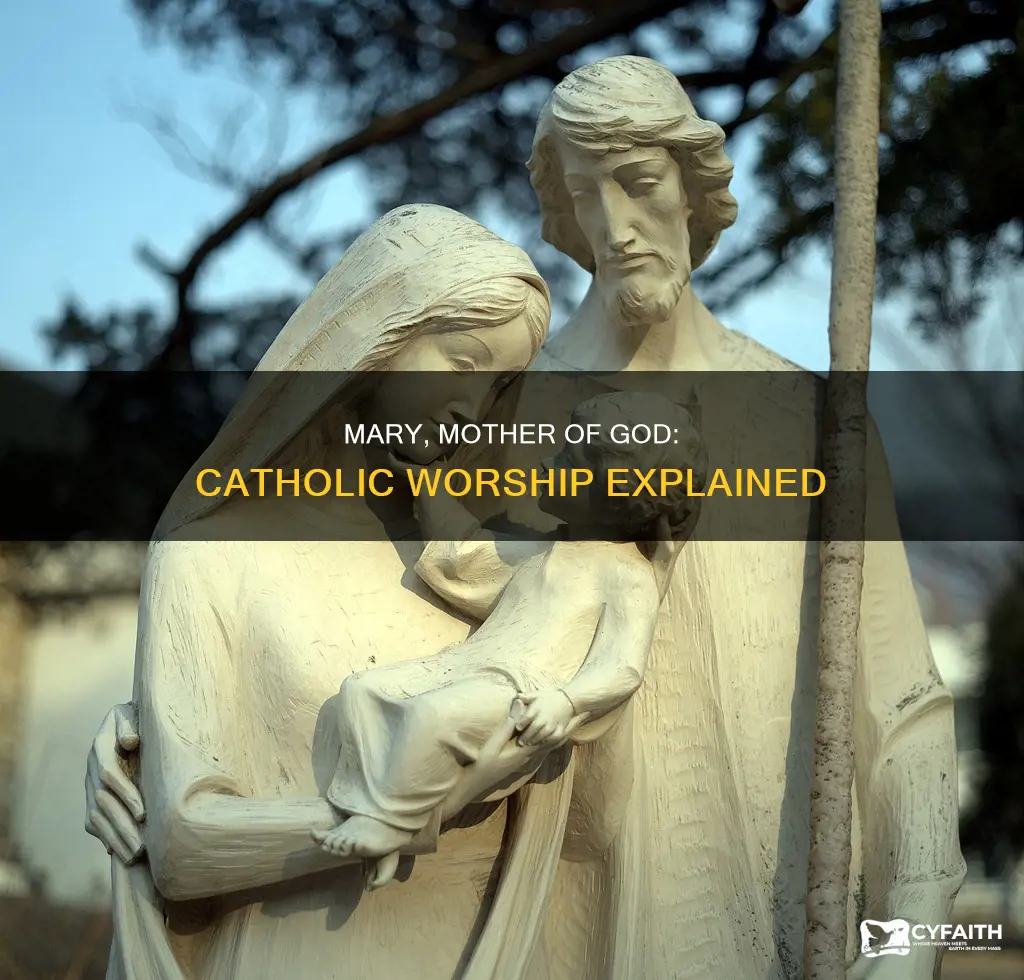why do catholics worship mary instead of jesus