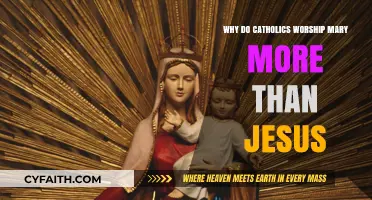 Mary's Role in Catholicism: Worship, Devotion, or Misunderstanding?