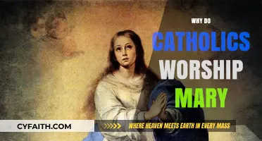 Understanding Catholic Devotion: Why Mary Holds a Sacred Place