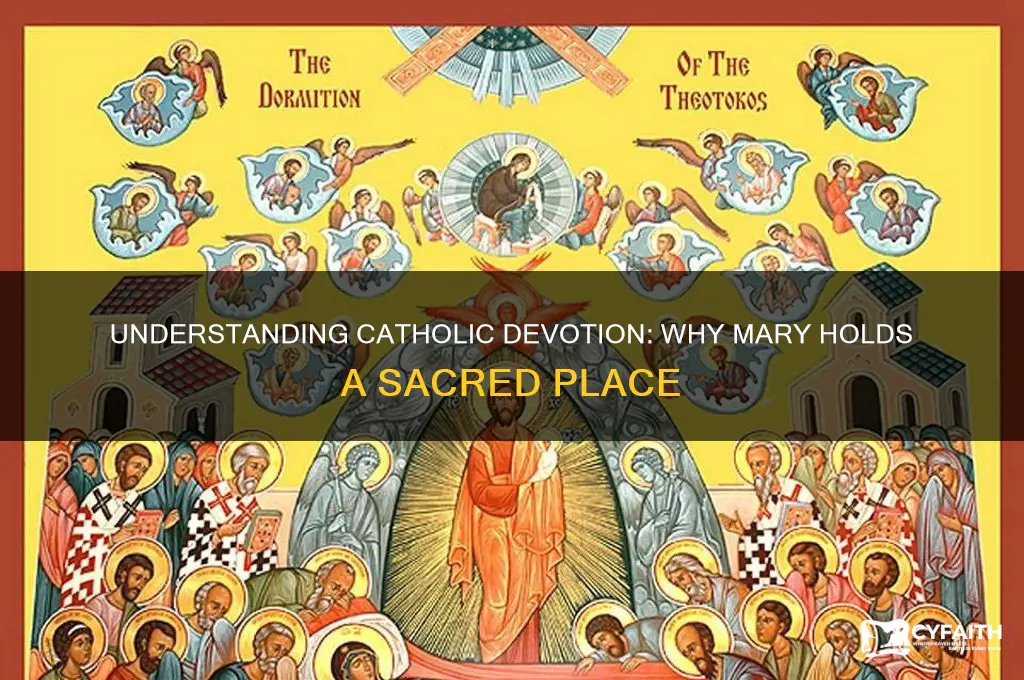 why do catholics worship mary