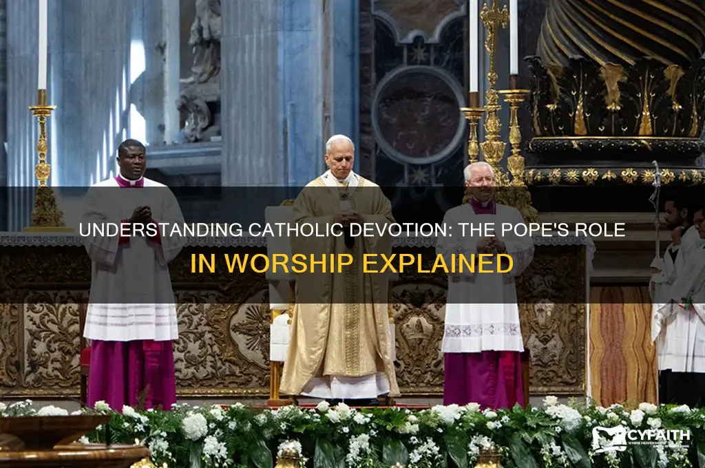 why do catholics worship pope