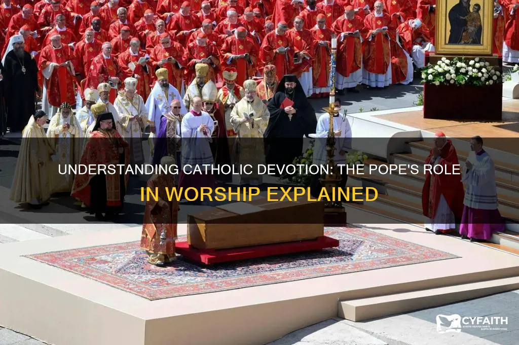 why do catholics worship the pope