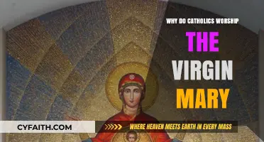 Understanding Catholic Devotion to the Virgin Mary: Worship or Veneration?