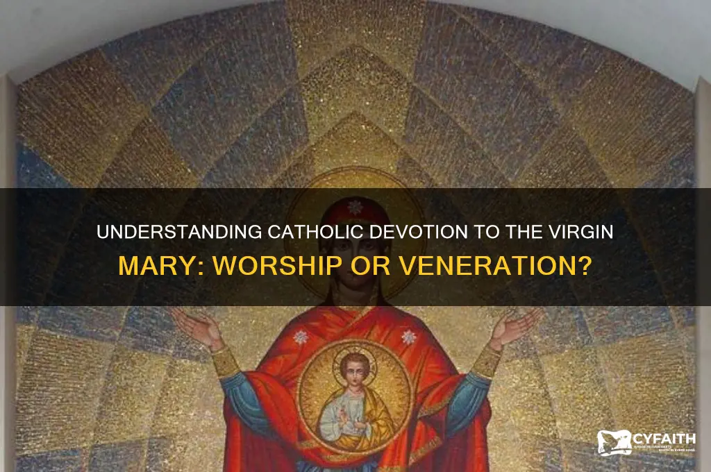 why do catholics worship the virgin mary