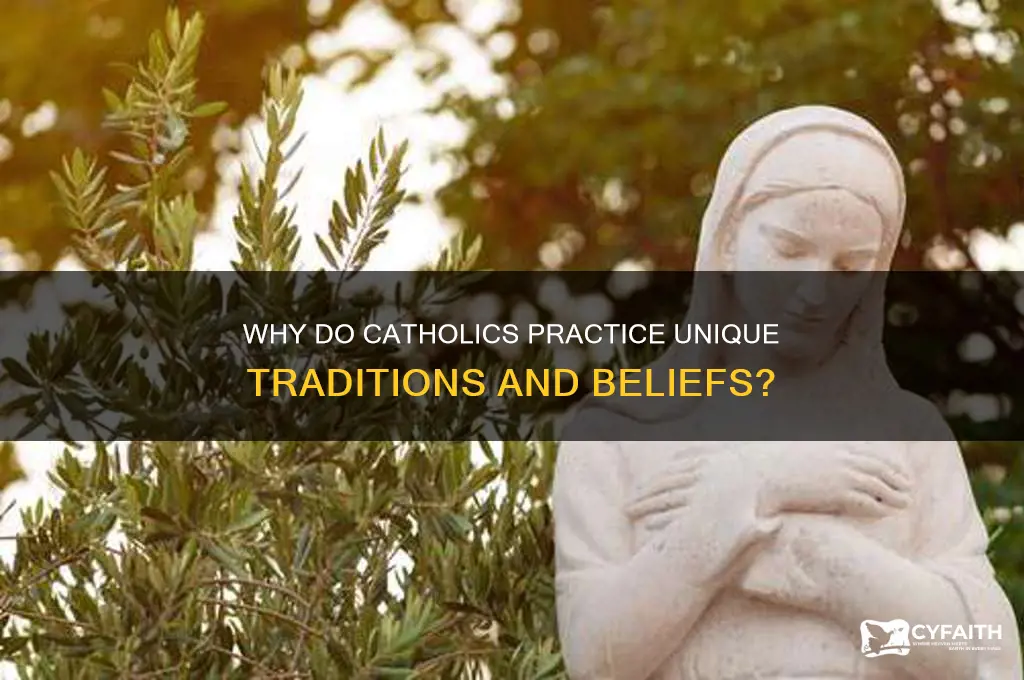 why do catholics