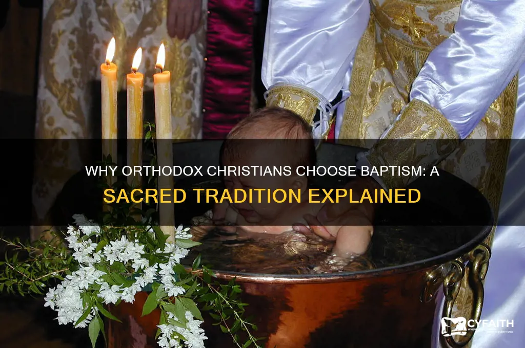 why do christians get baptized orthodox