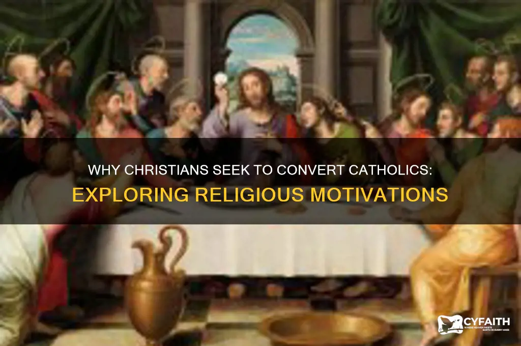 why do christians try to convert catholics
