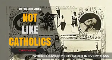 Understanding Christian-Catholic Tensions: Historical and Doctrinal Differences Explored