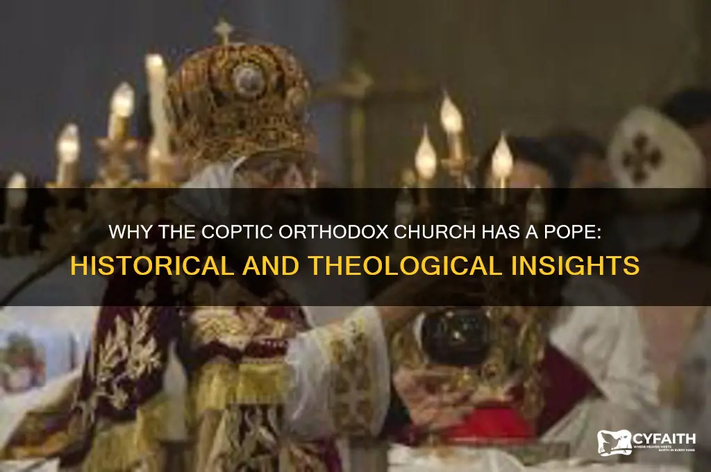 why do coptic orthodox have a pope