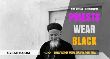 Why Coptic Orthodox Priests Wear Black: Symbolism and Tradition Explained