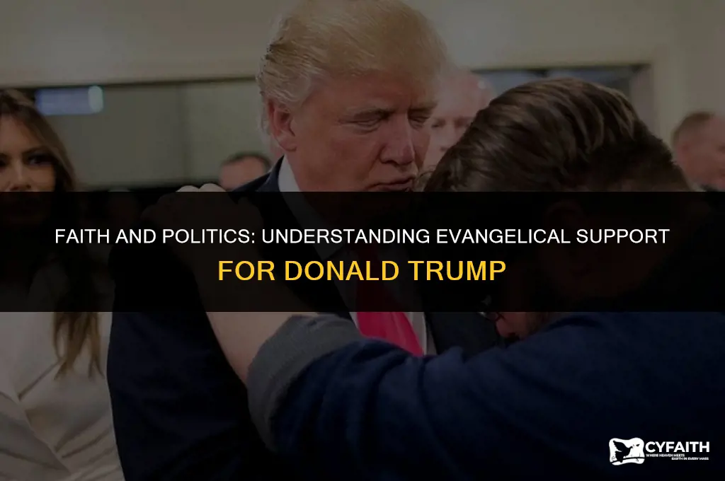 why do evangelical believe in donald trump