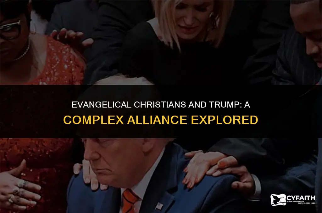 why do evangelical christian support a trump who lies