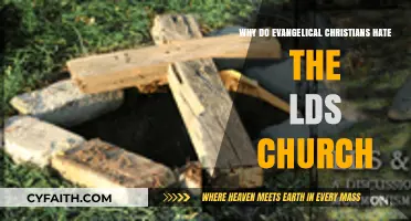 Understanding the Rift: Evangelical Christians and the LDS Church