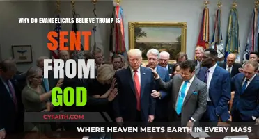 Divine Mandate or Political Pragmatism: Evangelicals and Trump's Presidency