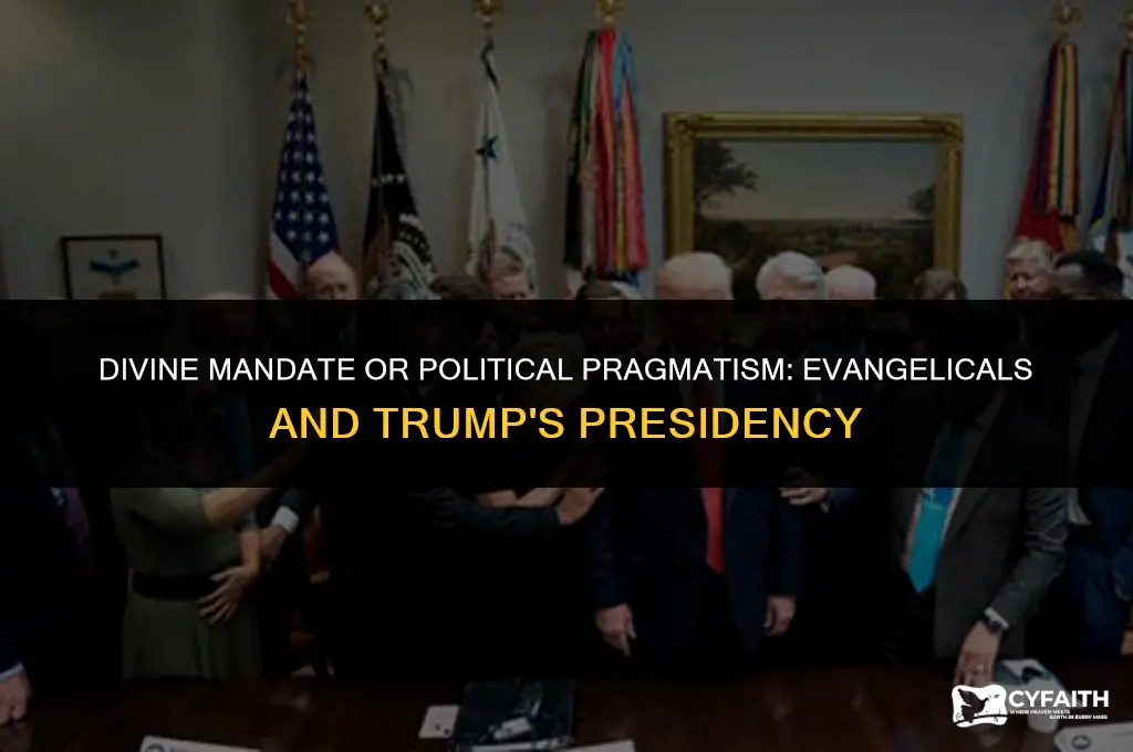 why do evangelicals believe trump is sent from god