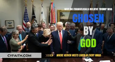 Divine Mandate or Political Pragmatism: Evangelicals and Trump's Presidency