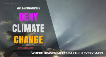 Faith and Science: Understanding Evangelical Perspectives on Climate Change