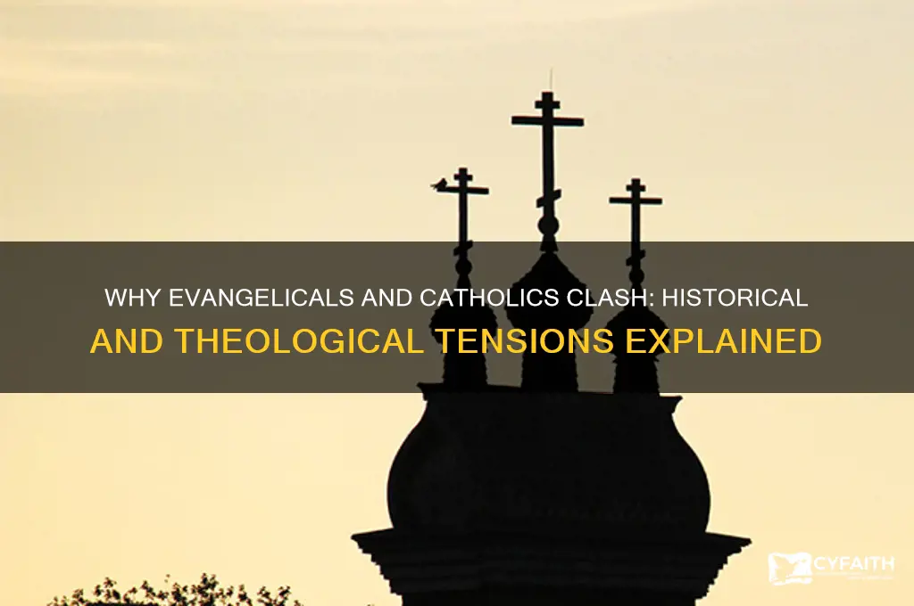 why do evangelicals dislike catholics