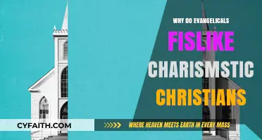 Understanding the Evangelical-Charismatic Divide: A Quest for Unity