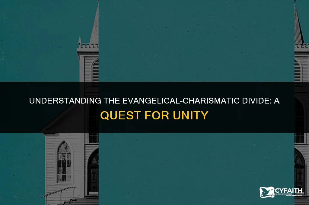 why do evangelicals fislike charismstic christians