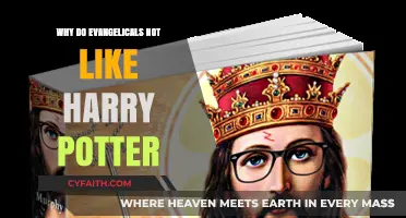 Unveiling the Reasons: Evangelical Perspectives on Harry Potter