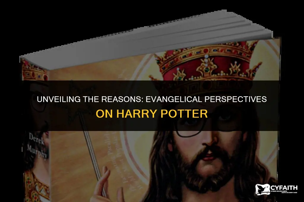 why do evangelicals not like harry potter