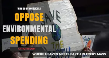 Divine Stewardship vs. Fiscal Responsibility: The Evangelical Environmental Dilemma